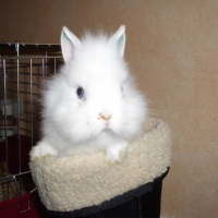 Photo #36793 de Pouchinette