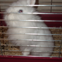 Photo #36799 de Pouchinette
