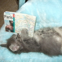 Photo #36955 de Luna