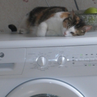 Photo #37327 de Mouchette