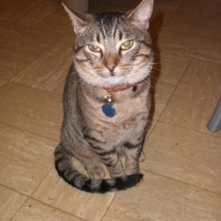 Photo #37363 de Crunch