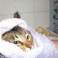 Photo #37369 de Crunch