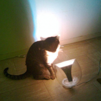 Photo #37375 de Crunch