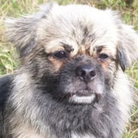 Photo #37423 de Cooper