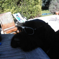 Photo #37693 de Vega