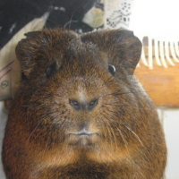Photo #38143 de Titoune