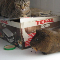 Photo #38149 de Titoune