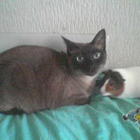 Photo #38383 de Loulou