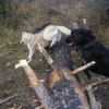 Vador et sa pote Sally !
