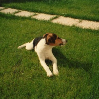 Photo #39241 de Roucky