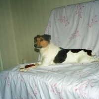 Photo #39259 de Roucky