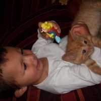 Photo #39979 de Moustic