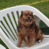 et oui je me sert des chaises!!