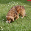 Avril_2007_010