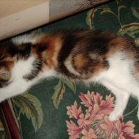 Photo #40891 de Titou