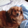 11_juin_2007_035