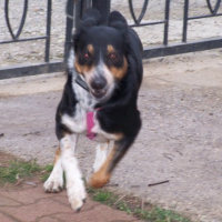 Photo #41119 de Atlan