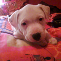 Ah c mignon kan c petit!!!