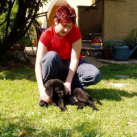 Photo #41395 de Vador