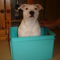 Photo #41479 de Cheyna