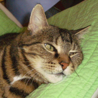 Photo #41821 de Poupoune