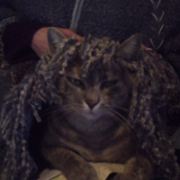 Photo #42343 de Uzna