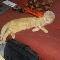 Photo #42739 de Mon bebe