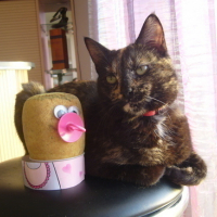 Photo #43279 de Bignouse