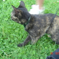 Photo #43285 de Bignouse
