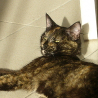 Photo #43315 de Bignouse
