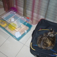 Photo #43321 de Bignouse