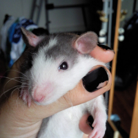 Photo #43639 de Bubulle