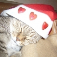 Photo #44473 de Tigroune 