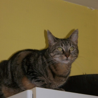 Photo #44701 de Sydney