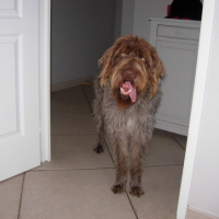 Photo #45433 de Chappy