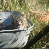 j'aime dormir là où on m'attend le moins !