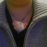 Photo #45565 de Nikita