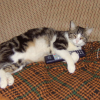 Photo #45919 de Titou