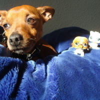 Photo #46405 de Willy