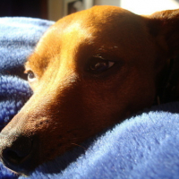 Photo #46411 de Willy