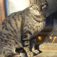 Photo #49291 de Titou