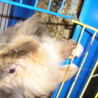 Photo #49495 de Lili