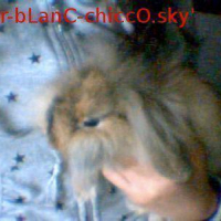 Photo #49501 de Lili