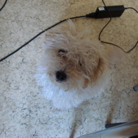 Photo #49777 de Cannelle