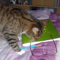 Photo #50581 de Socratte
