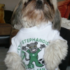 Aller St Etienne !!!