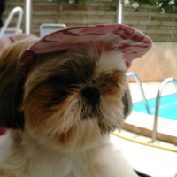 Attention aux coup de soleil !!!