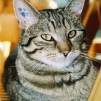 FH000027