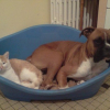 repos avec choupa
