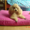 annif_kiara_08_033